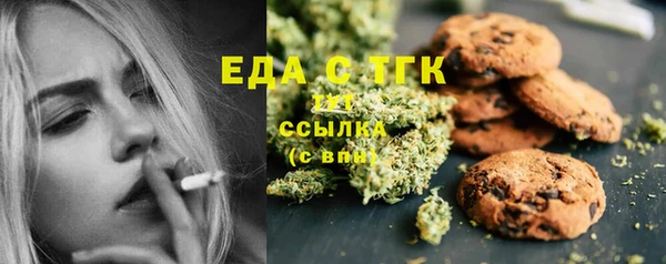 индика Вязьма