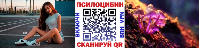 Купить закладки Новоалександровск Галлюциногенные грибы Psilocybine cubensis